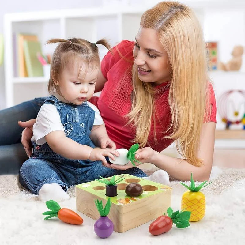 Ensemble de légumes Montessori