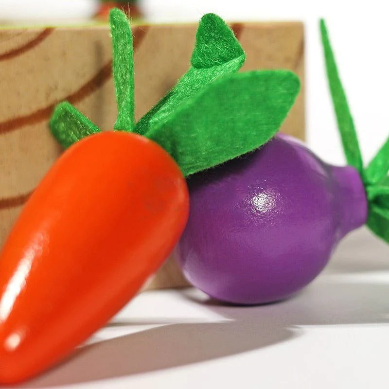 Ensemble de légumes Montessori