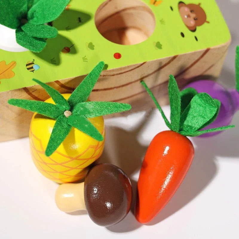 Ensemble de légumes Montessori