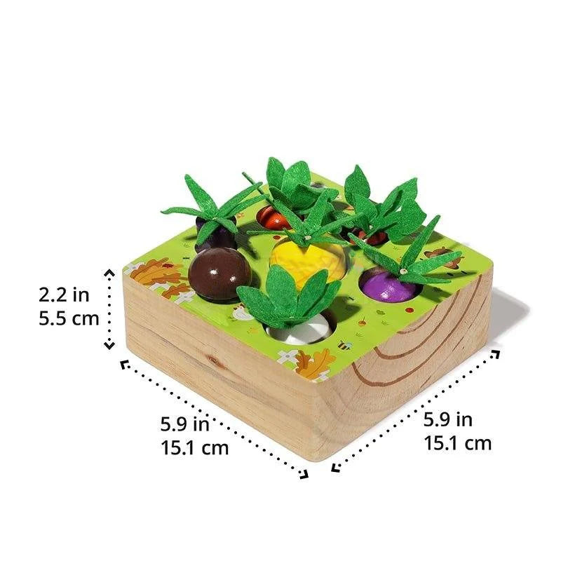 Ensemble de légumes Montessori